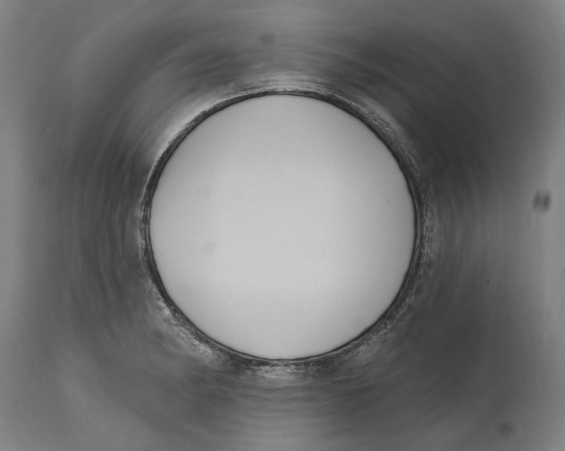 X0000114581182200911161303