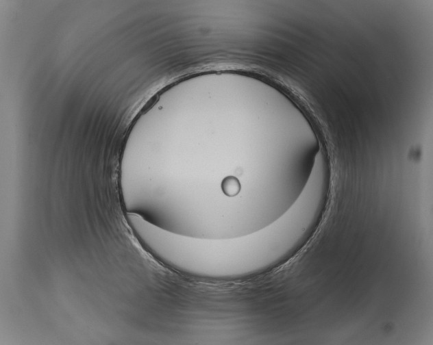 X0000114581185200911161303