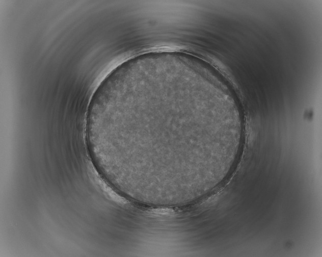 X0000114581186200911161303