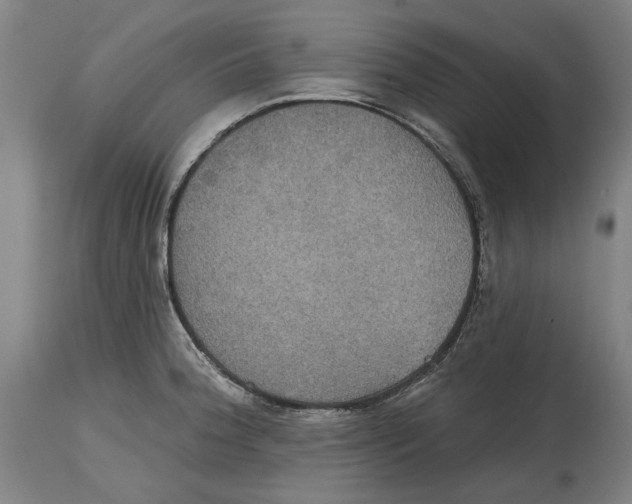 X0000114581188200911161302