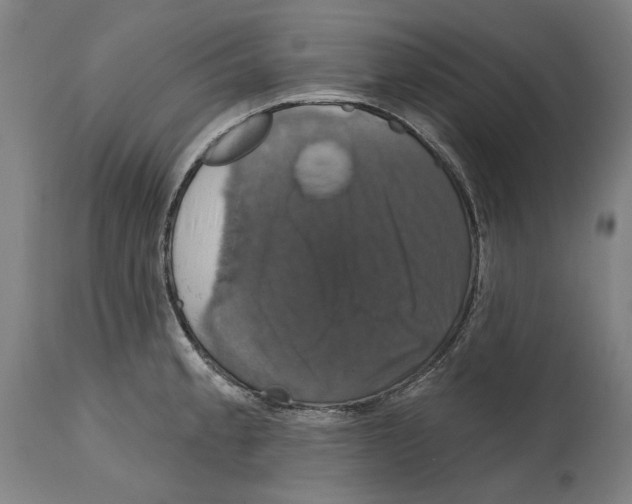 X0000114581189200911161302