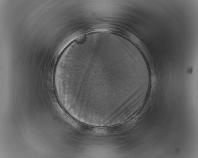 X0000114581194200911161302