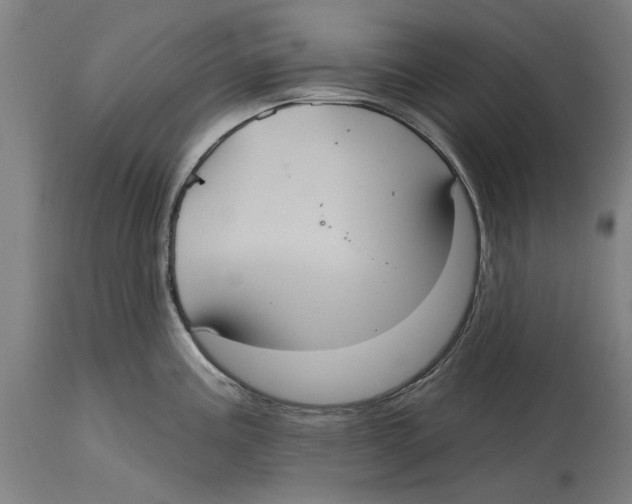 X0000114581195200911161302