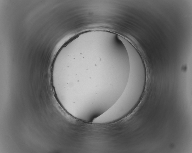 X0000114581196200911161302