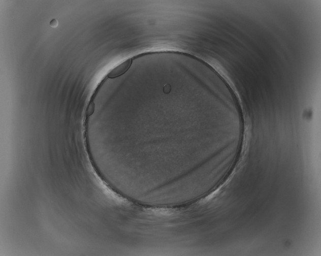 X0000114581197200911161302