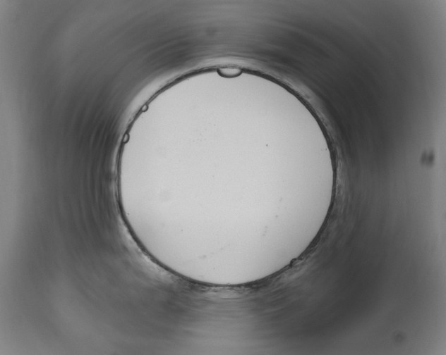 X0000114581199200911161302