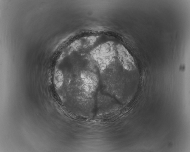 X0000114581205200911161302