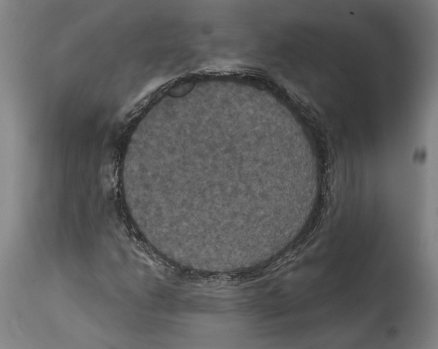 X0000114581206200911161302