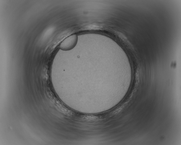 X0000114581209200911161302