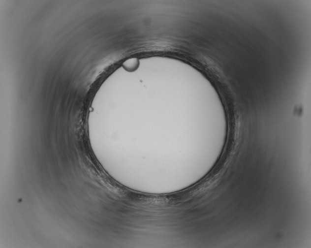 X0000114581210200911161302