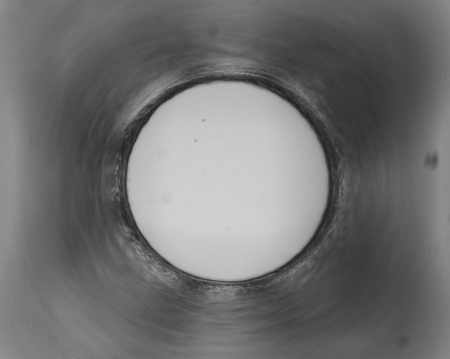 X0000114581211200911161302