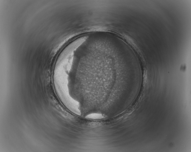 X0000114581212200911161302