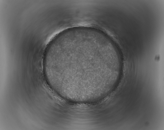 X0000114581214200911161302