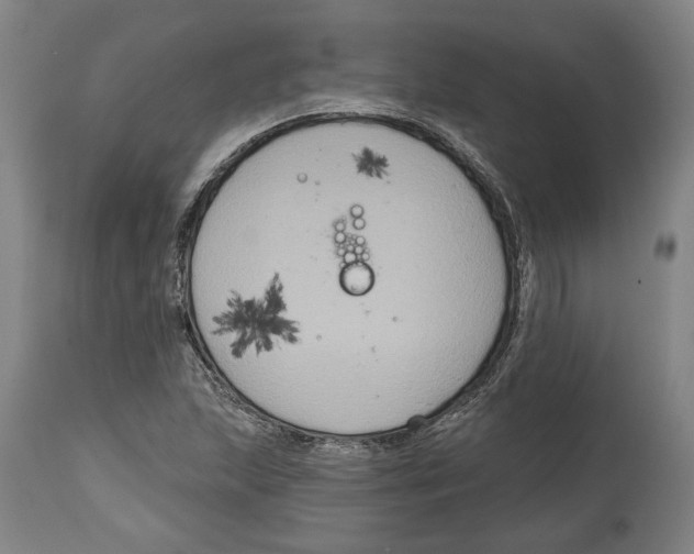 X0000114581215200911161302