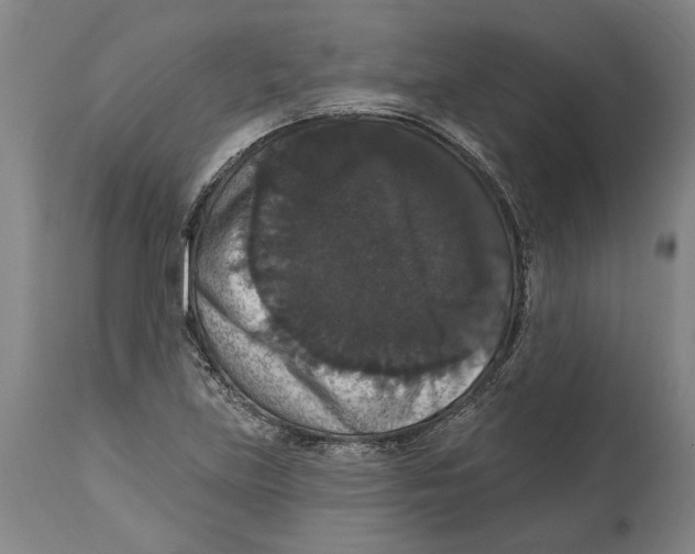 X0000114581219200911161302