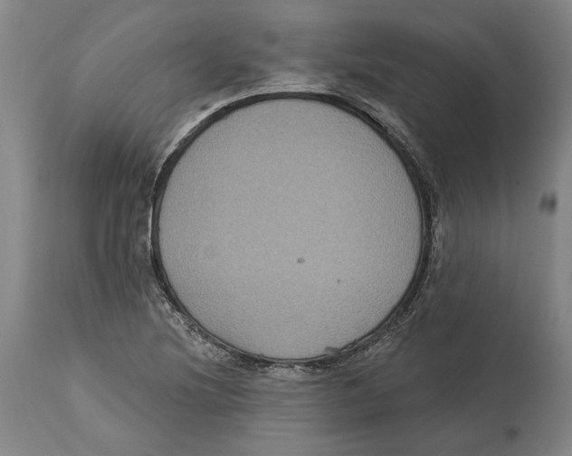 X0000114581220200911161302