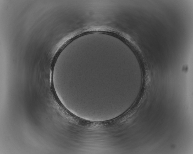 X0000114581221200911161302