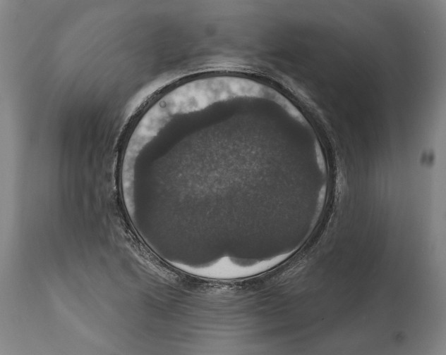 X0000114581222200911161302