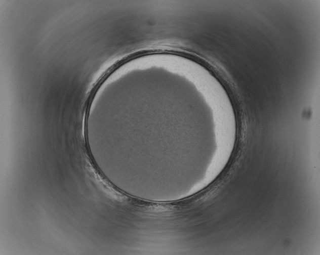 X0000114581224200911161302