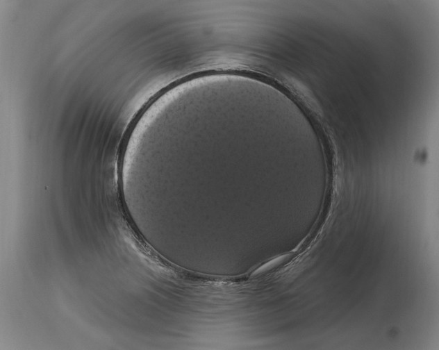 X0000114581226200911161302