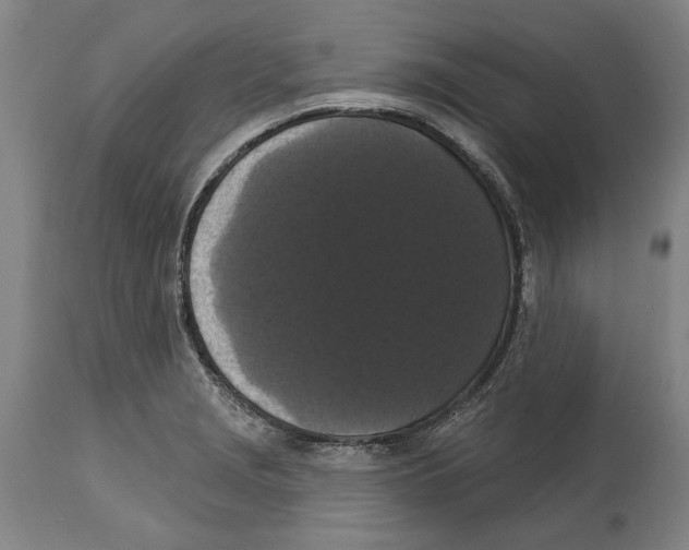 X0000114581229200911161302