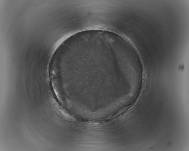 X0000114581230200911161302