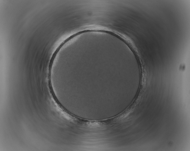 X0000114581231200911161302