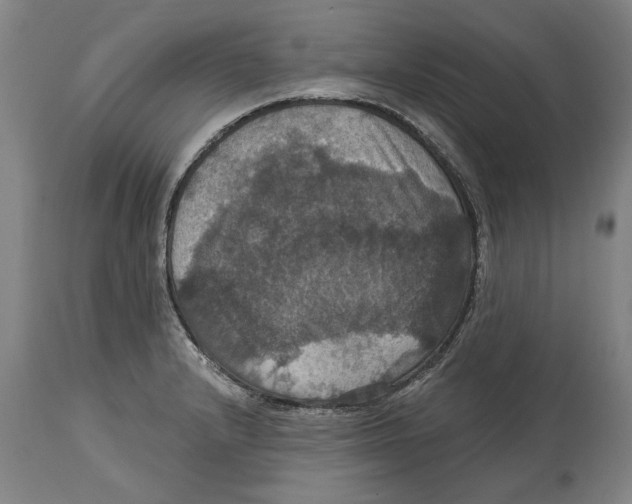 X0000114581232200911161302