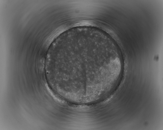 X0000114581233200911161302