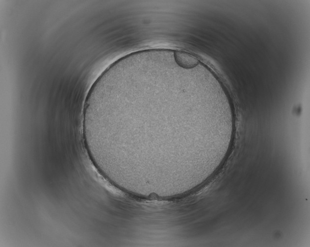 X0000114581236200911161302