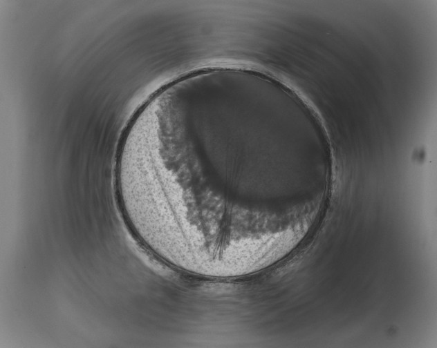 X0000114581237200911161302