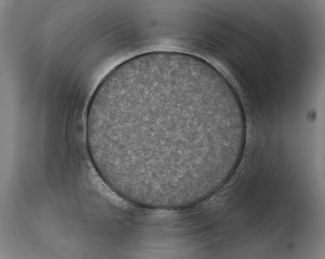 X0000114581238200911161302