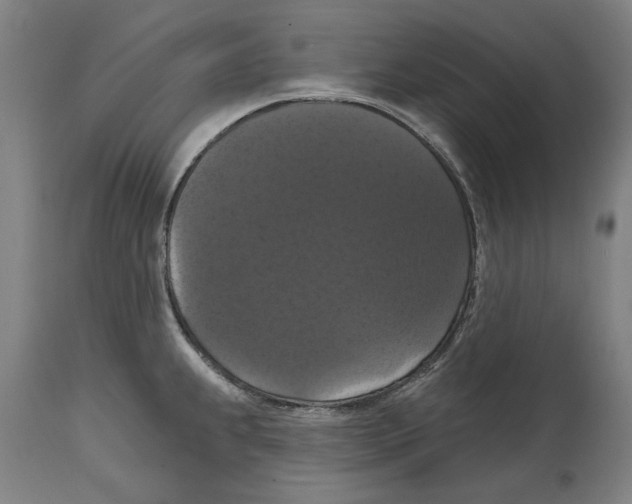 X0000114581239200911161302