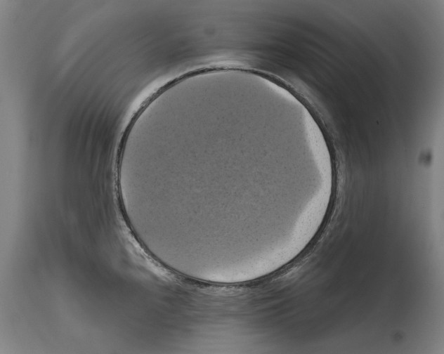 X0000114581240200911161302