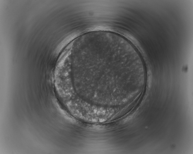 X0000114581241200911161302