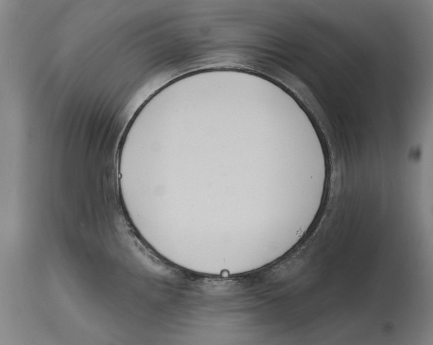 X0000114581242200911161302