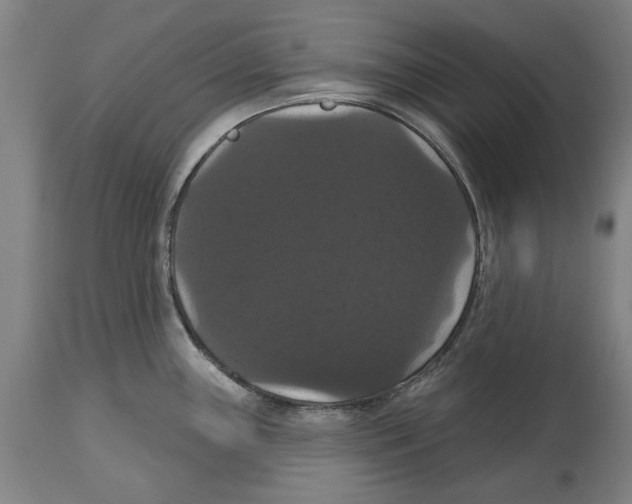 X0000114581243200911161302