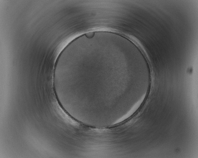 X0000114581244200911161302