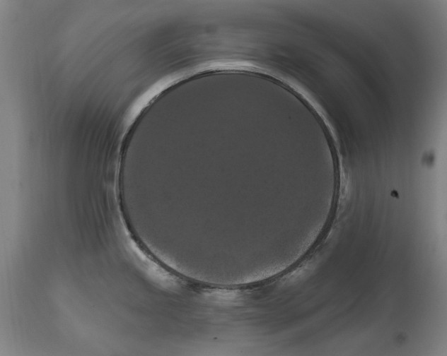 X0000114581245200911161302