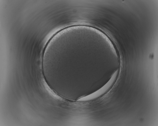 X0000114581246200911161302