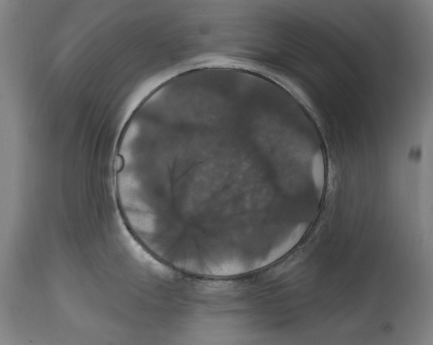 X0000114581247200911161302