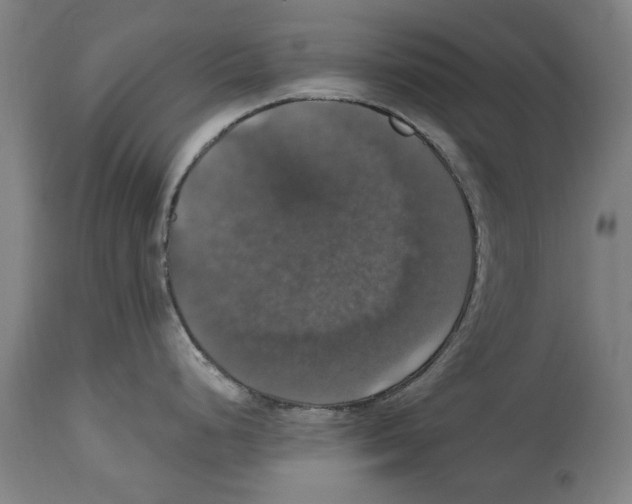 X0000114581248200911161302