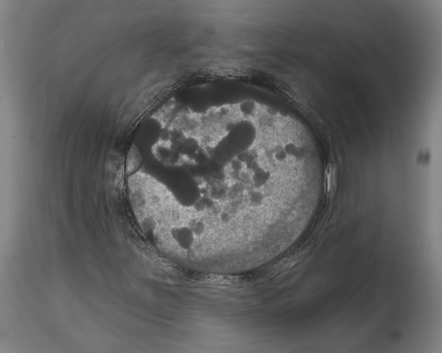 X0000114581251200911161301