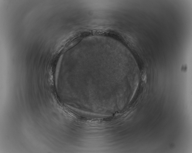 X0000114581252200911161301