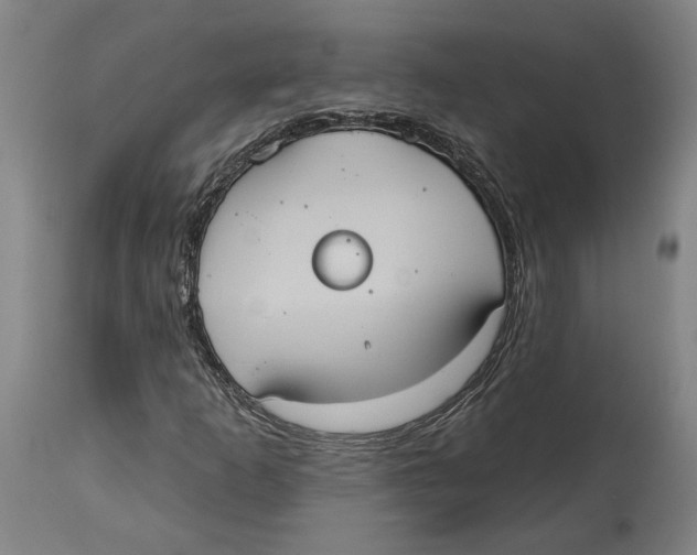 X0000114581253200911161301