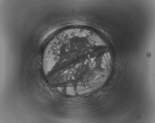 X0000114581255200911161301