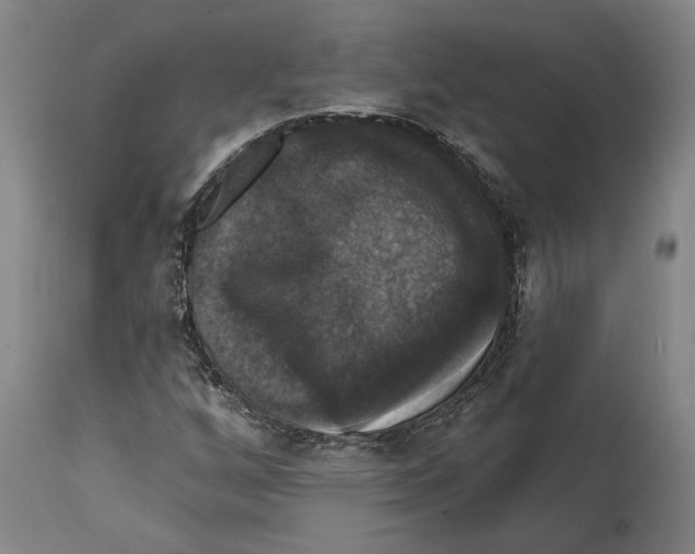 X0000114581256200911161301