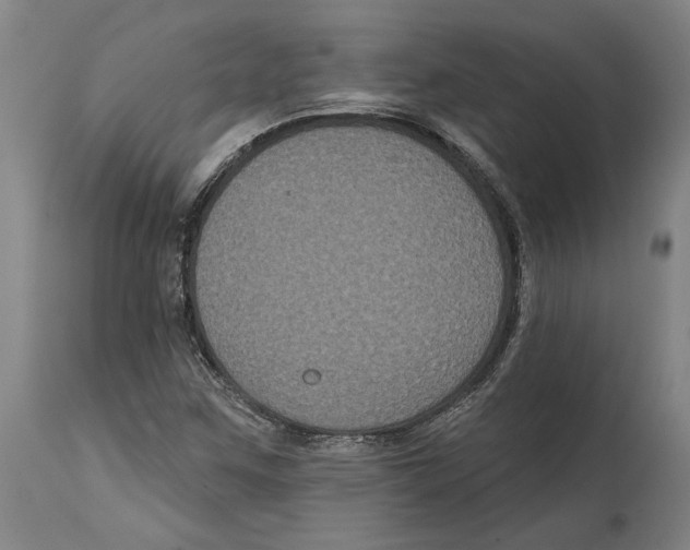 X0000114581259200911161301