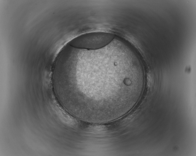 X0000114581260200911161301