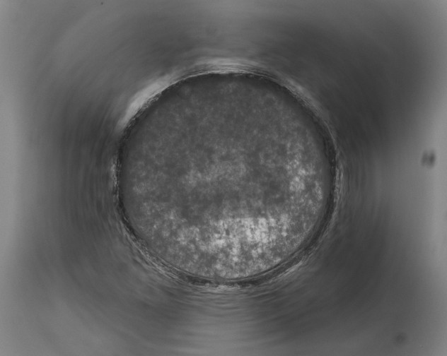 X0000114581261200911161301